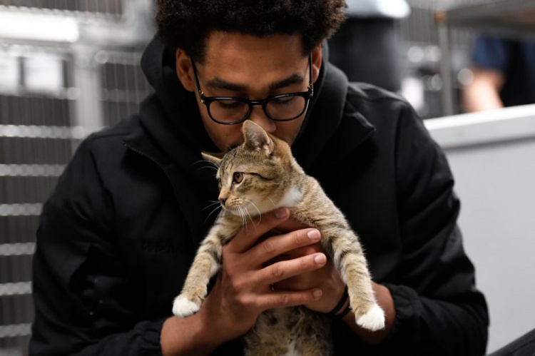 普爾：NBA裏養貓的人很多 麻豆WWW在线观看有一個秘密的圈子常私下交流